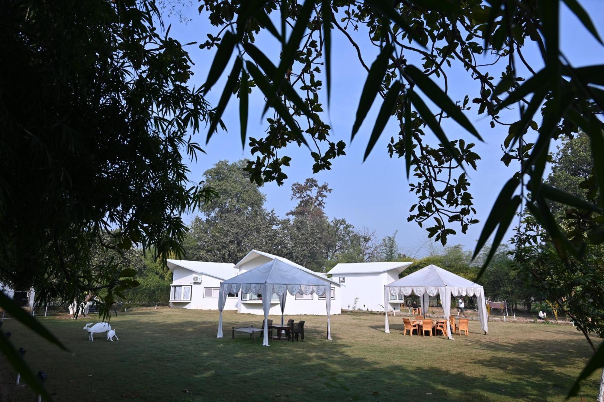 Olive Hotel Tāla Kültér fotó